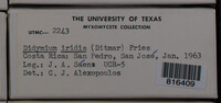 Image Associated With the Occurence